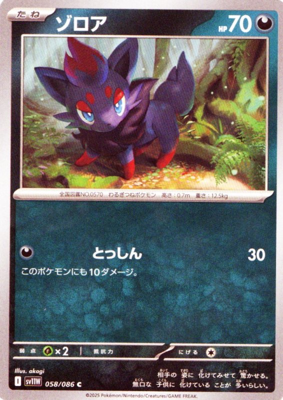 画像1: ゾロア【C】{058/086} [SV11W] (1)