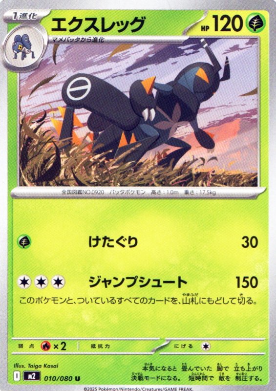 画像1: エクスレッグ【U】{010/080} [M2] (1)