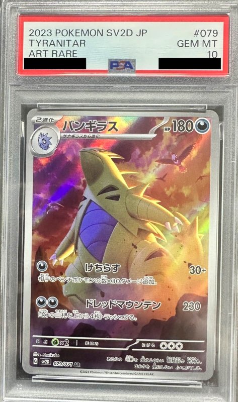 画像1: 〔PSA10鑑定済〕バンギラス【AR】{079/071} (1)